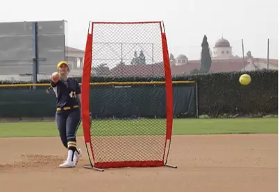 야구 연습망 그룹 V